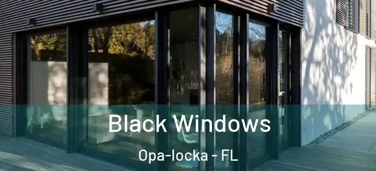 Black Windows Opa-locka - FL