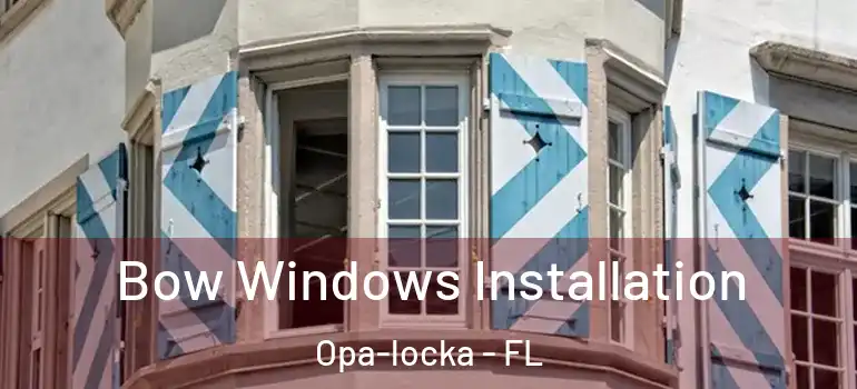  Bow Windows Installation Opa-locka - FL