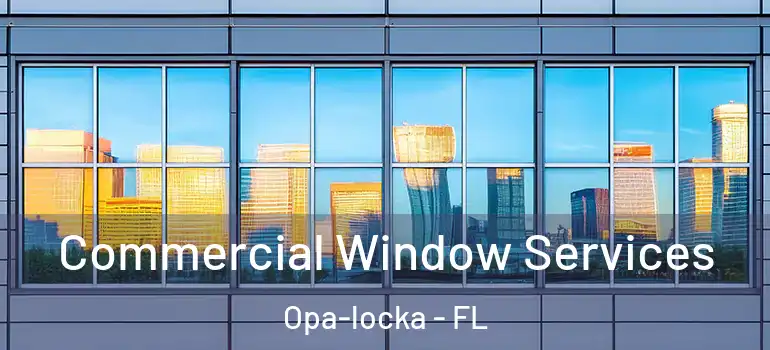 Commercial Window Services Opa-locka - FL