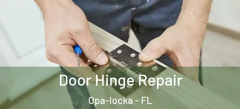 Door Hinge Repair Opa-locka - FL