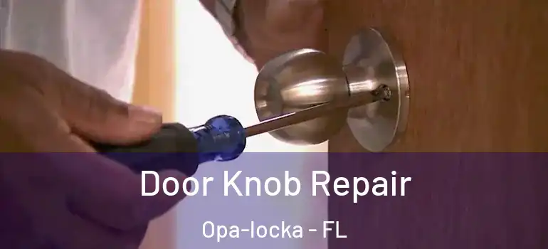 Door Knob Repair Opa-locka - FL