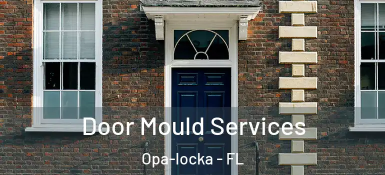 Door Mould Services Opa-locka - FL