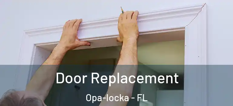 Door Replacement Opa-locka - FL