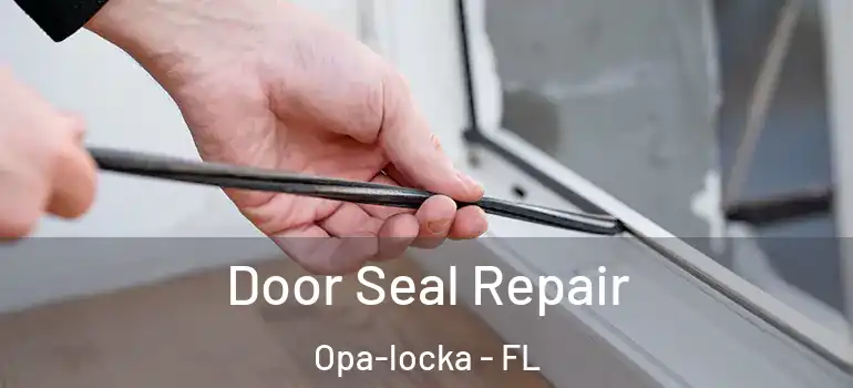 Door Seal Repair Opa-locka - FL