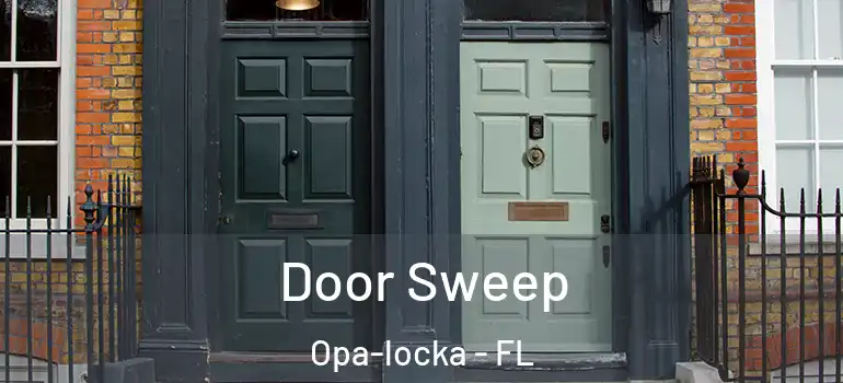 Door Sweep Opa-locka - FL