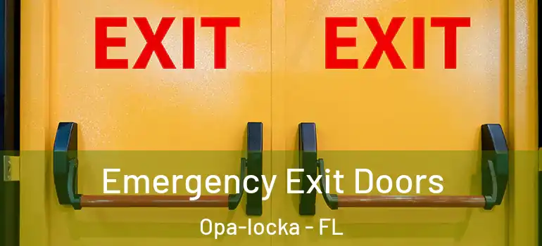 Emergency Exit Doors Opa-locka - FL