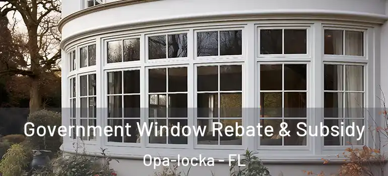  Government Window Rebate & Subsidy Opa-locka - FL