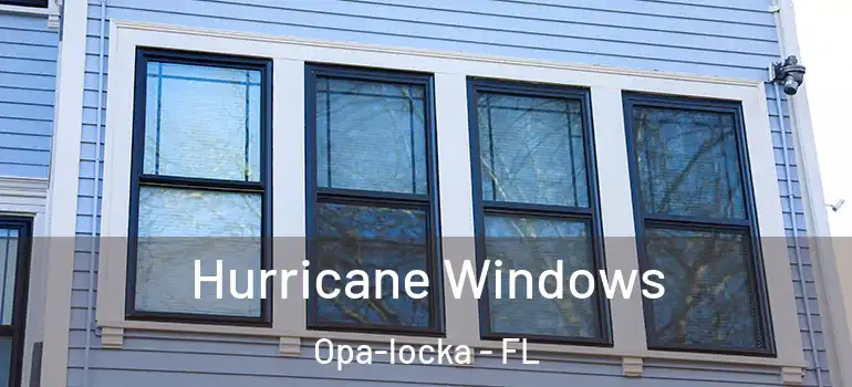  Hurricane Windows Opa-locka - FL