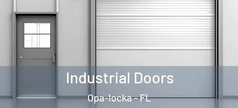 Industrial Doors Opa-locka - FL