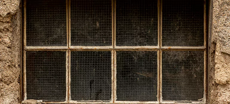 Traditional Double Front Doors in Opa-locka, FL