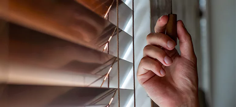 Double Roller Blinds in Opa-locka, FL