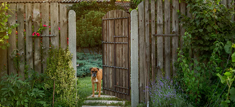 Winter Garden Garage Door Repair in Opa-locka,[location field=state]