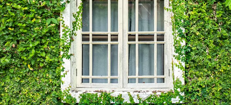 Garden Window Repair Near Me in Opa-locka, FL