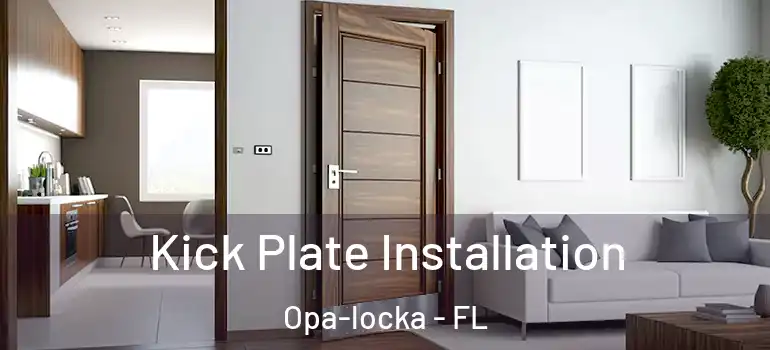 Kick Plate Installation Opa-locka - FL