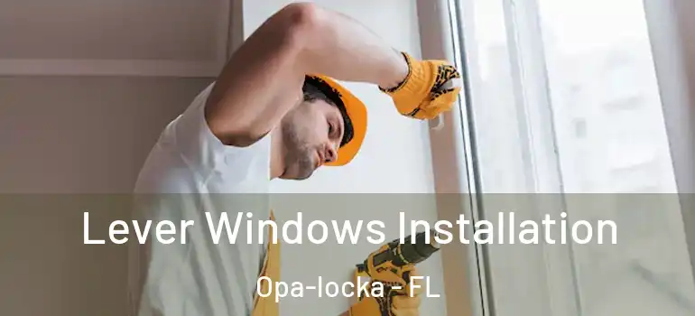 Lever Windows Installation Opa-locka - FL