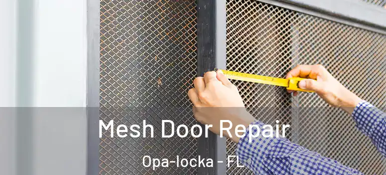 Mesh Door Repair Opa-locka - FL