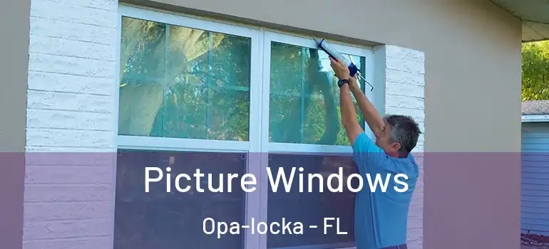 Picture Windows Opa-locka - FL