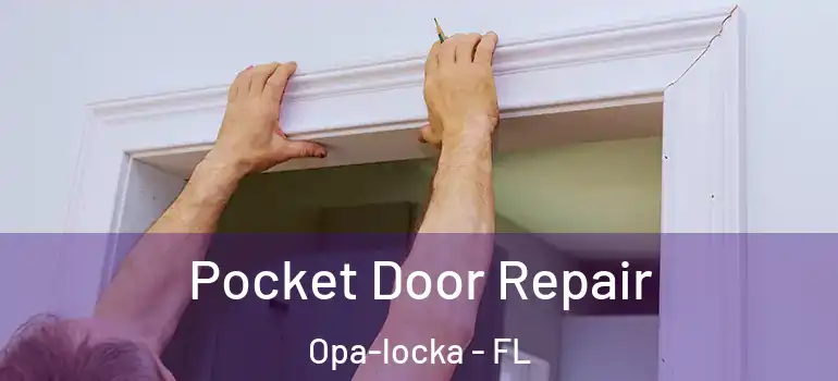 Pocket Door Repair Opa-locka - FL