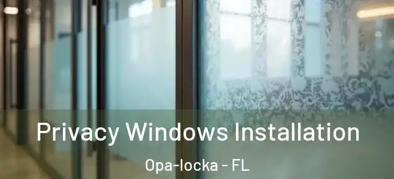  Privacy Windows Installation Opa-locka - FL