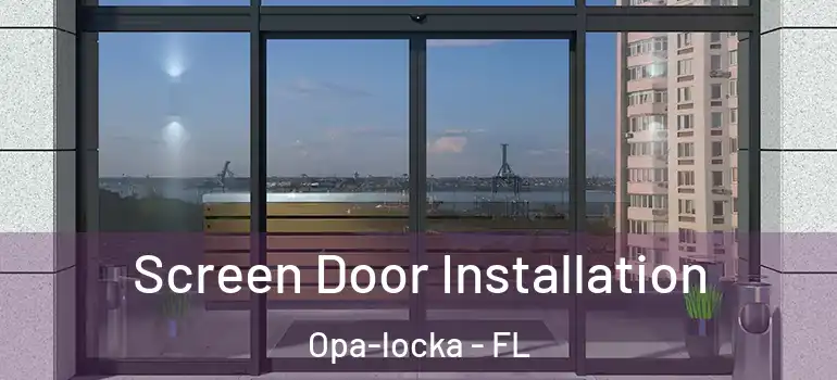 Screen Door Installation Opa-locka - FL
