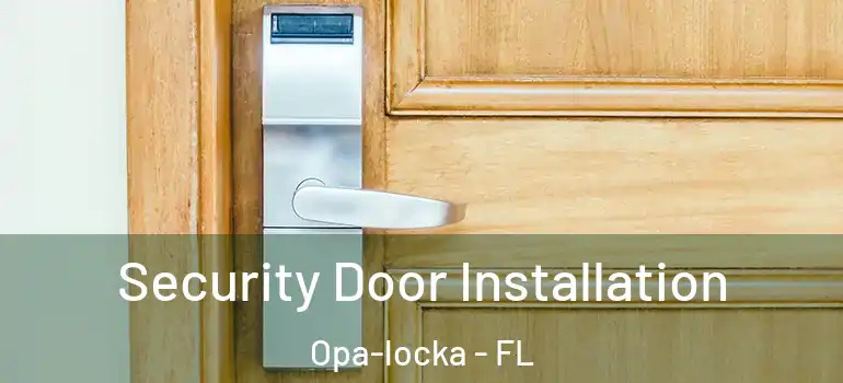  Security Door Installation Opa-locka - FL