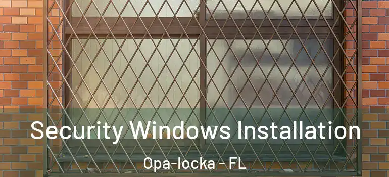 Security Windows Installation Opa-locka - FL