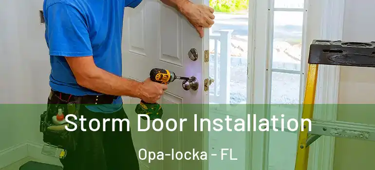 Storm Door Installation Opa-locka - FL