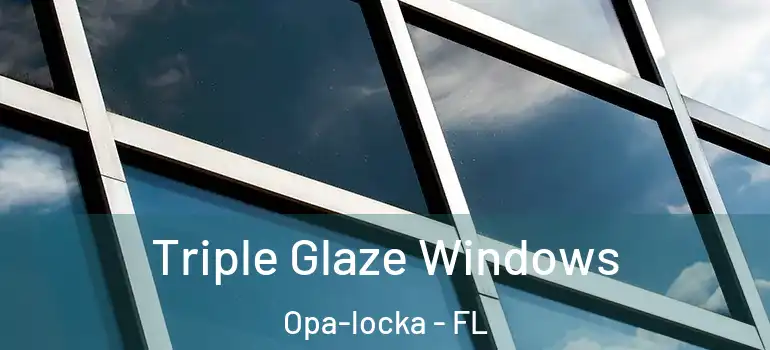 Triple Glaze Windows Opa-locka - FL