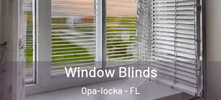  Window Blinds Opa-locka - FL