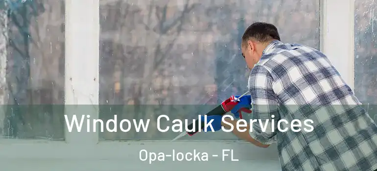  Window Caulk Services Opa-locka - FL