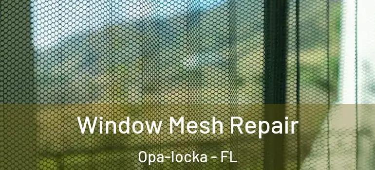  Window Mesh Repair Opa-locka - FL