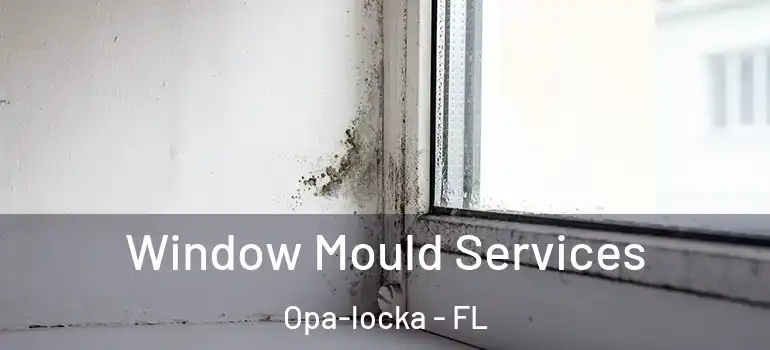 Window Mould Services Opa-locka - FL