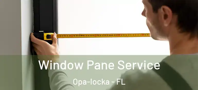 Window Pane Service Opa-locka - FL