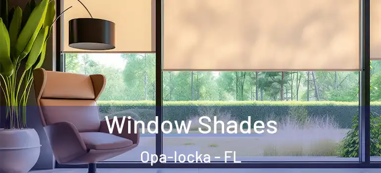 Window Shades Opa-locka - FL