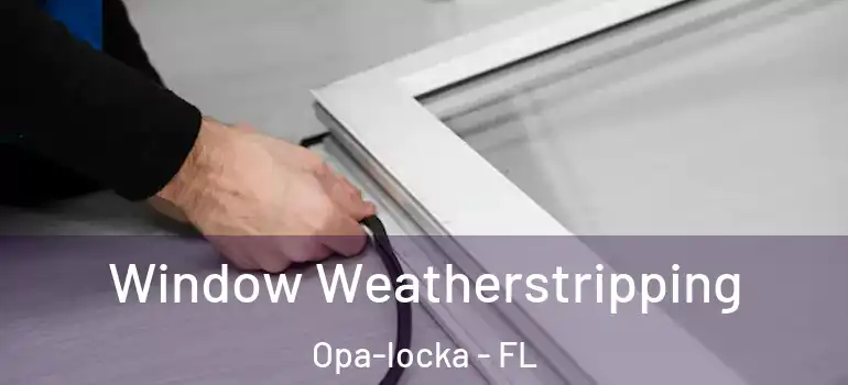  Window Weatherstripping Opa-locka - FL